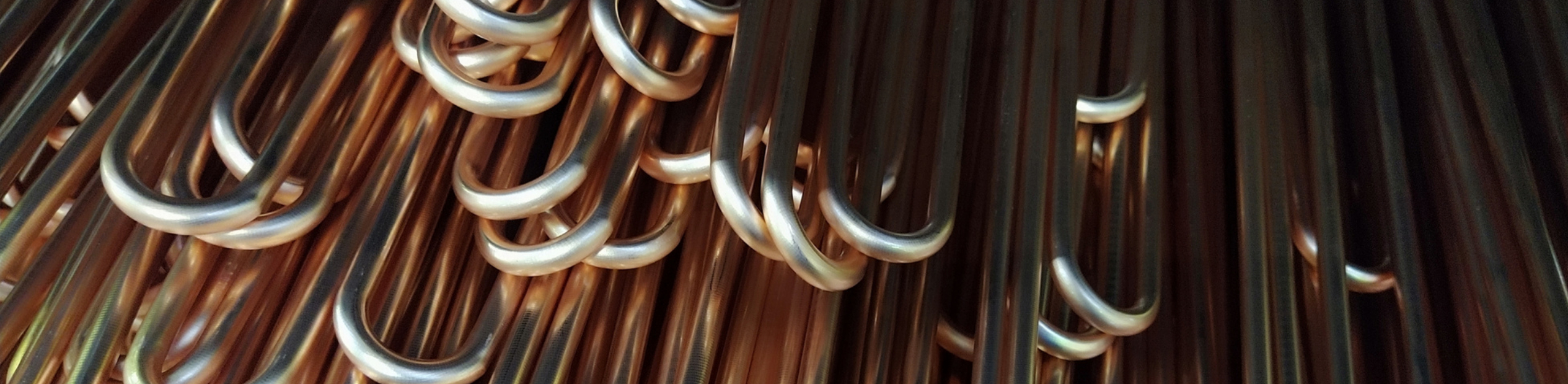 1265x310 px (1)